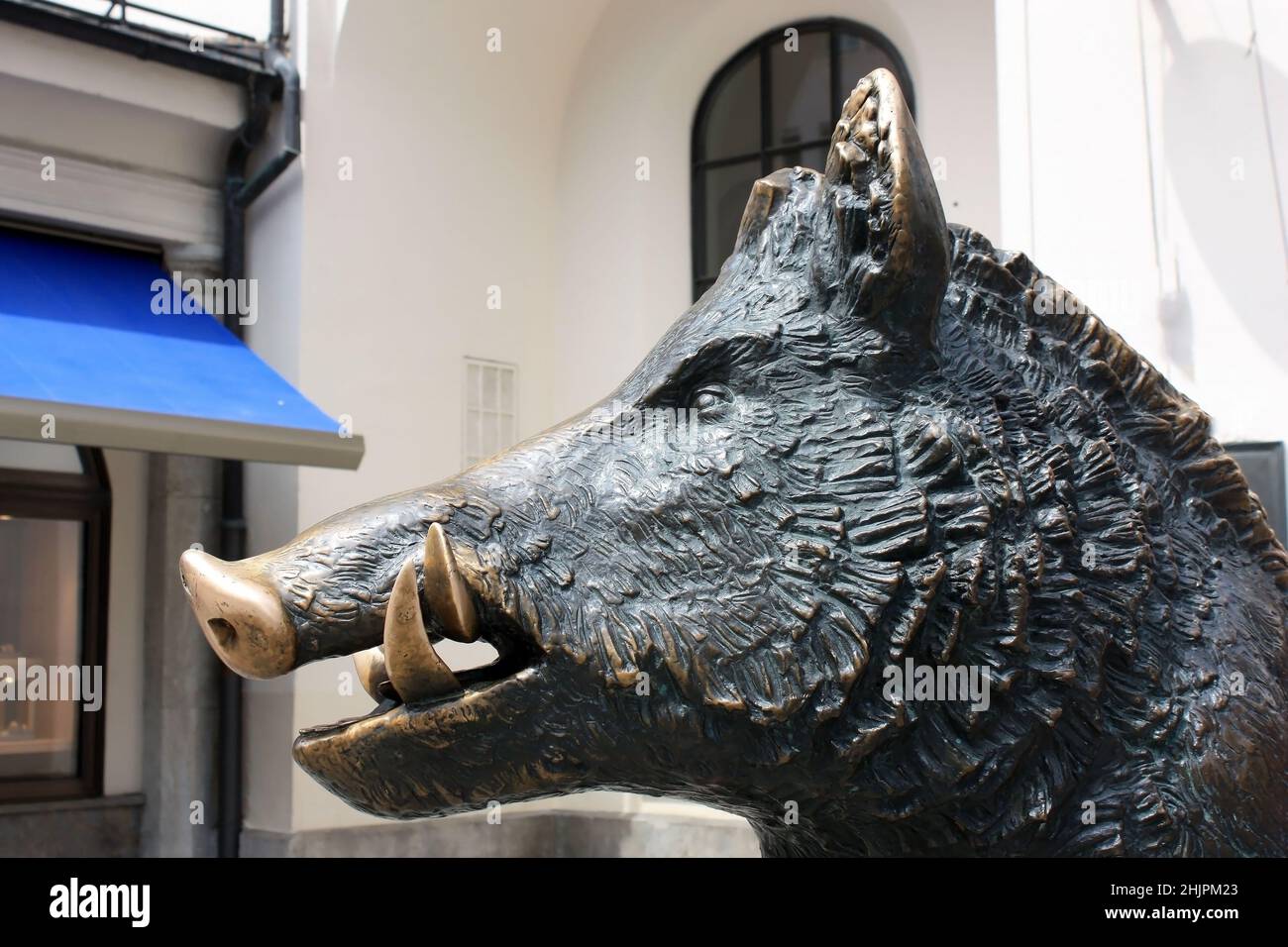München, Deutschland - Juli 9,2018: Die Bronzefigur eines Wildschweins im Museum für Jagd und Fischerei in München ist ein Bronzetier.die Tradition der Touristen Stockfoto