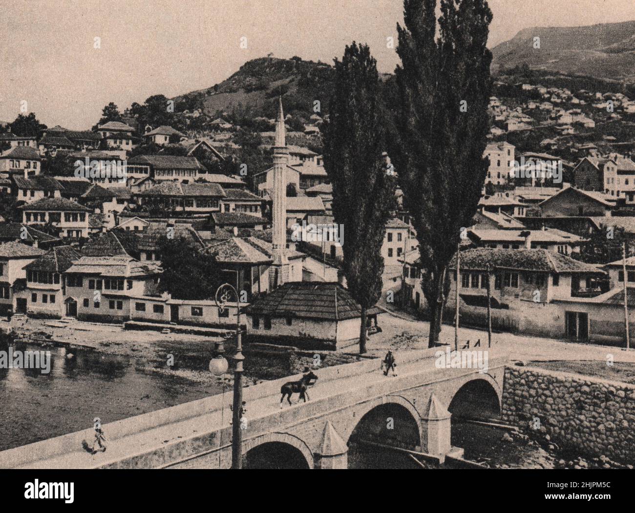 Zypressenhaine verstärken die Schönheit von serajevo in seiner bereits schönen Umgebung im engen Tal des Miljačka. Bosnien Und Herzegowina (1923) Stockfoto