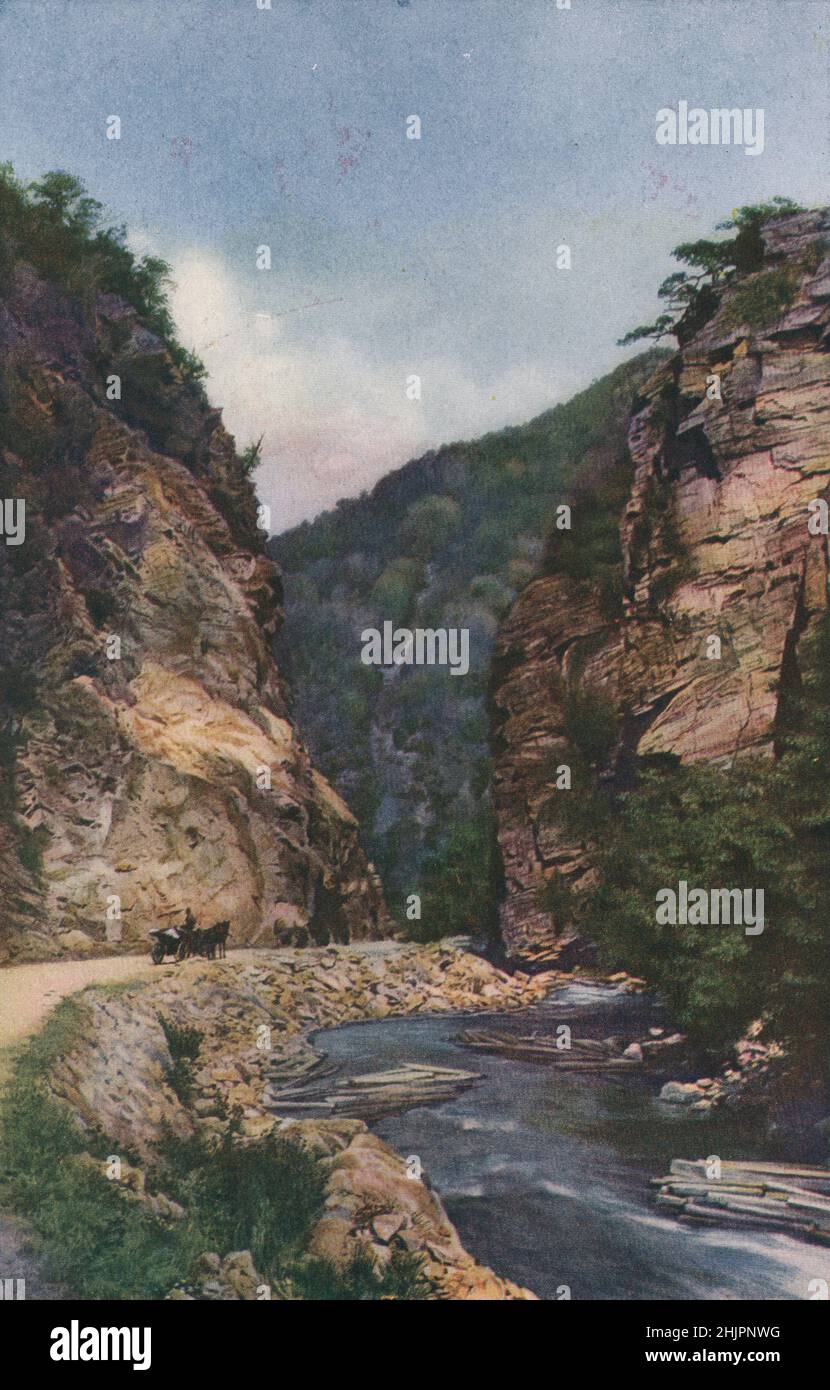 Die Elli Dere, die eine Schlucht am Nordhang des Rhodopen-Bergzuges schnitzt, trägt auf ihren Klippen gefälltes Holz. Bulgarien (1923) Stockfoto