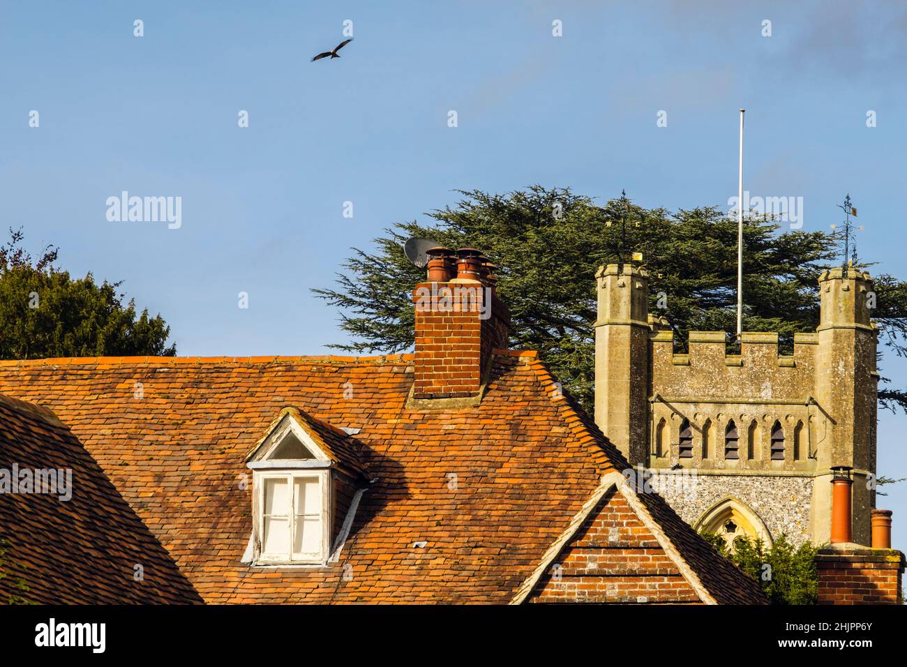 Red Kite fliegt tief über die Dächer und die Kirche St. Mary the Virgin aus dem 14th. Jahrhundert im historischen Dorf Chilterns. Hambleden, Buckinghamshire, England, Großbritannien Stockfoto