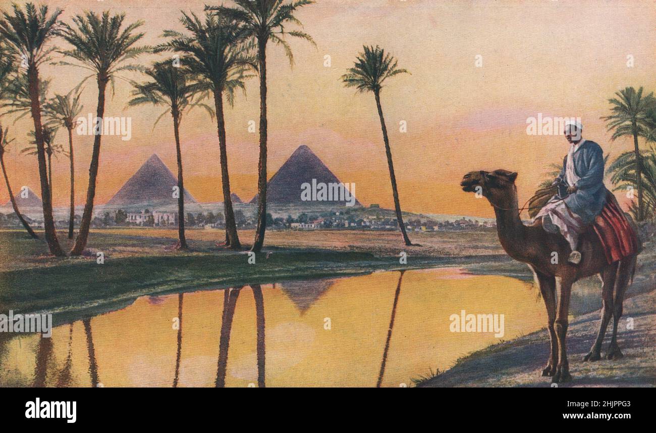 Die Pyramidengräber von Chephren & Cheops durch die Palmen auf der anderen Seite des alten Nils. Von ihrer gezogenen Hülle wurde Kairo weitgehend gebaut (1923) Stockfoto