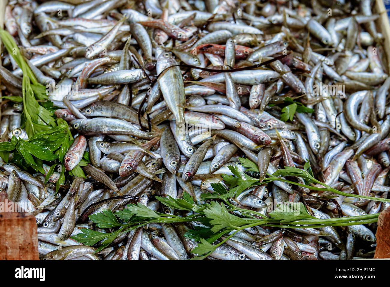 Nahaufnahme von frischen Sardinen auf dem Fischmarkt Stockfoto