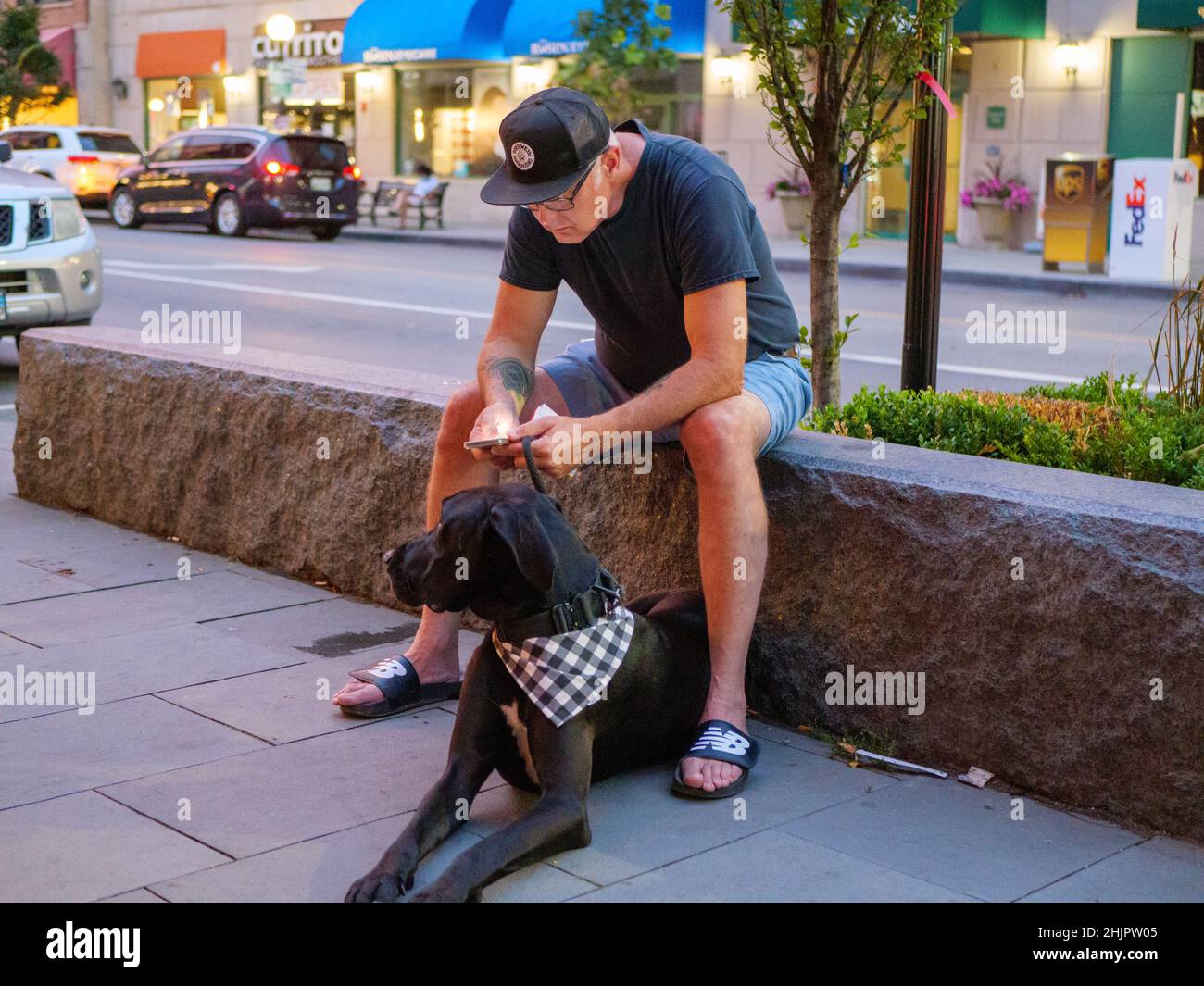 Mann liest Handy, während sein Hund geduldig wartet. Stockfoto