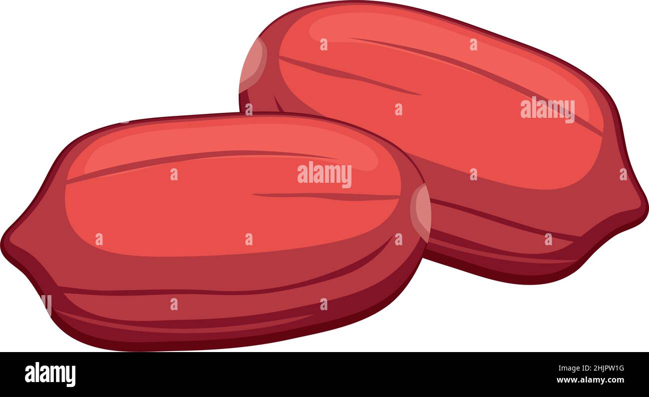 Realistische geröstete Erdnussnüsse mit weißem Hintergrund - Vektorgrafik Stock Vektor