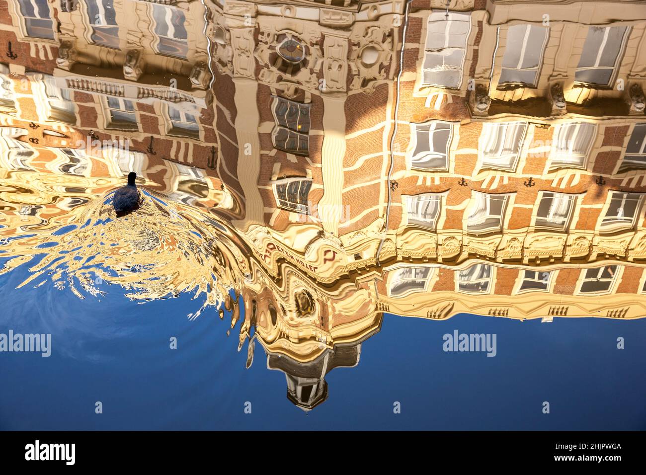 Spiegelung des Grande Hotel Amsterdam im Kanalwasser mit einem Moor Henne Vogel schwimmen und verursacht Wellen im Wasser und Sonnenschein Amsterdam Holl Stockfoto