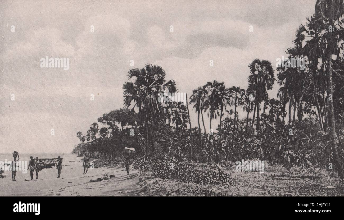 Mayumbas sonnige Strände mit Palmen, wo der Atlantik an den Ufern des französischen Kongo donnert (1923) Stockfoto