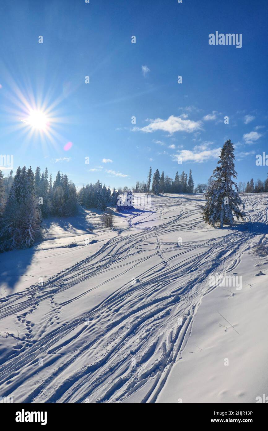 Neuschnee auf der Skipiste in Bialka Tatrzanska in Polen. Landschaftlich schöne sonnige Winterlandschaft. Stockfoto