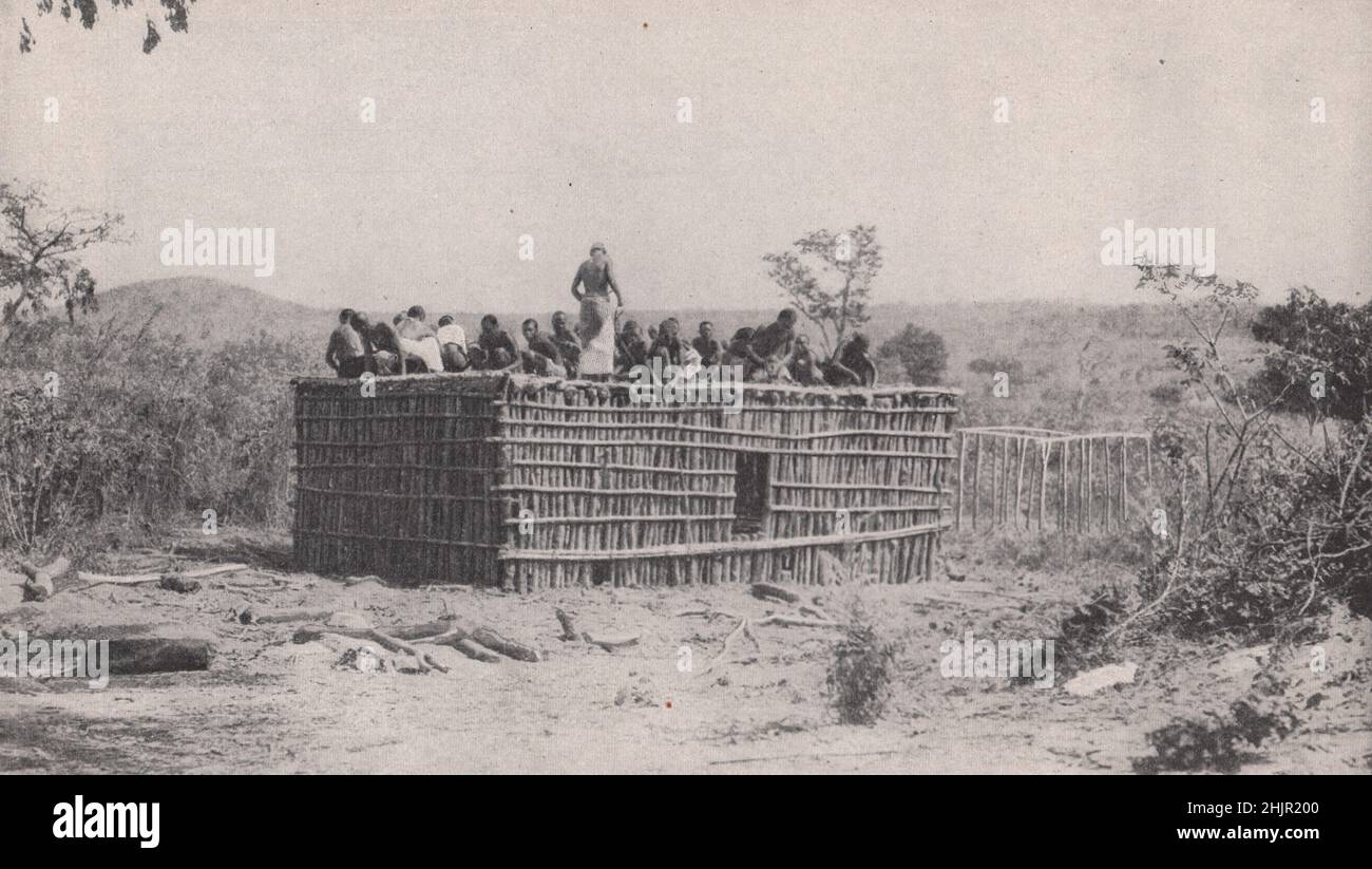 Freie Arbeit am Ziegenhaus eines einheimischen Häupters im britischen Protektorat Nyasaland. Malawi. Ostafrika (1923) Stockfoto