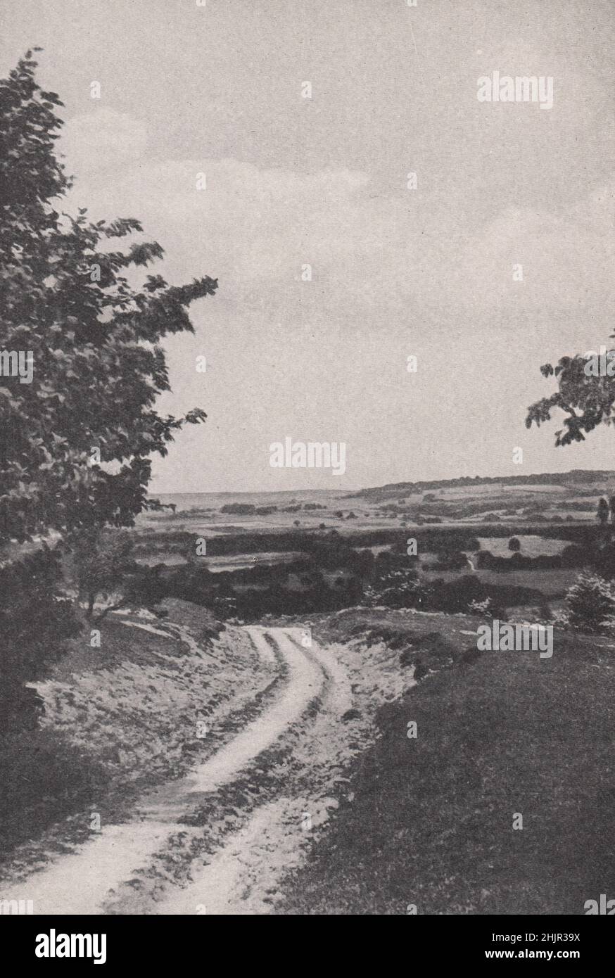 Duncton Hügel mit Blick über den Sussex weald zu den trüben Surrey Hügeln. England (1923) Stockfoto
