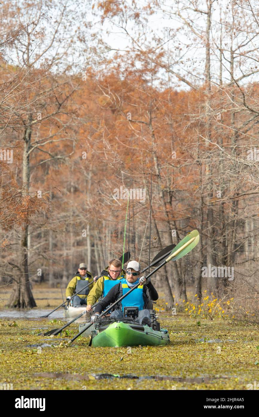 Mann paddelt mit dem Kajak durch die Vegetation Stockfoto