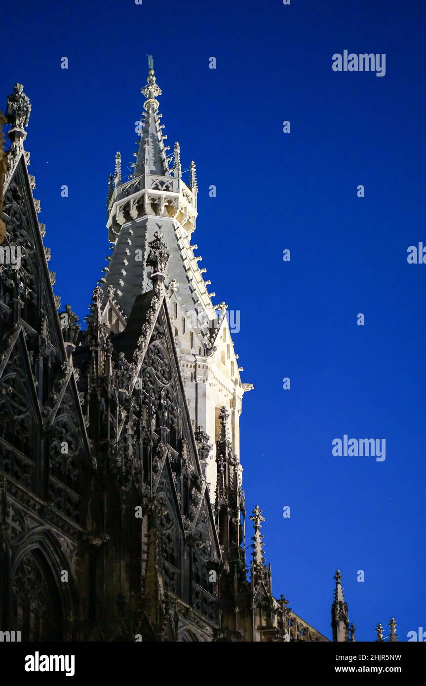 Gotischer Turm des Stephansdoms in Wien bei Nacht Stockfoto