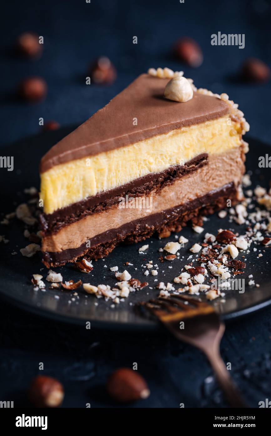 Nougat-Vanille- und schokoladenglasierte Torte in vier Schichten mit Haselnüssen auf der Oberseite und Haselnussbröseln auf dunklem Grund Stockfoto