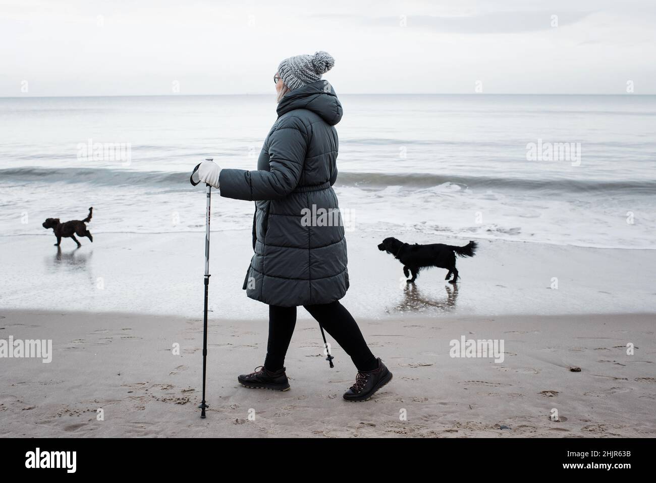 Frau in den 70ern, die mit ihren Hunden am Strand entlang läuft Stockfoto