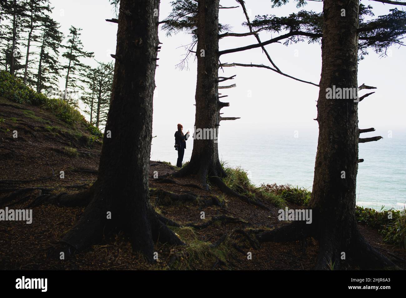 Solo-Frau, die mit ihrem Telefon in der Küste von Oregon fotografiert Stockfoto