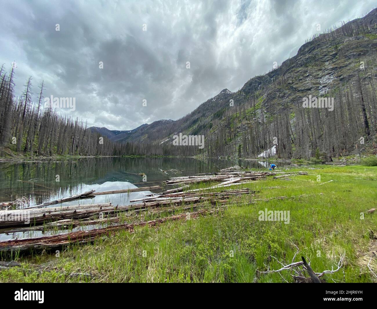 Sammeln von Wasser aus einem alpinen See, umgeben von toten verbrannten Bäumen Stockfoto