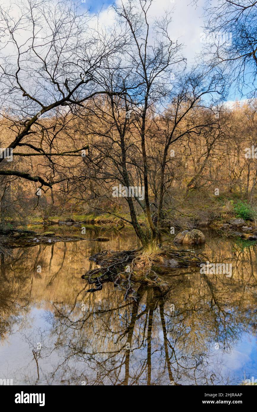 River Elan in Mid Wales. Stockfoto