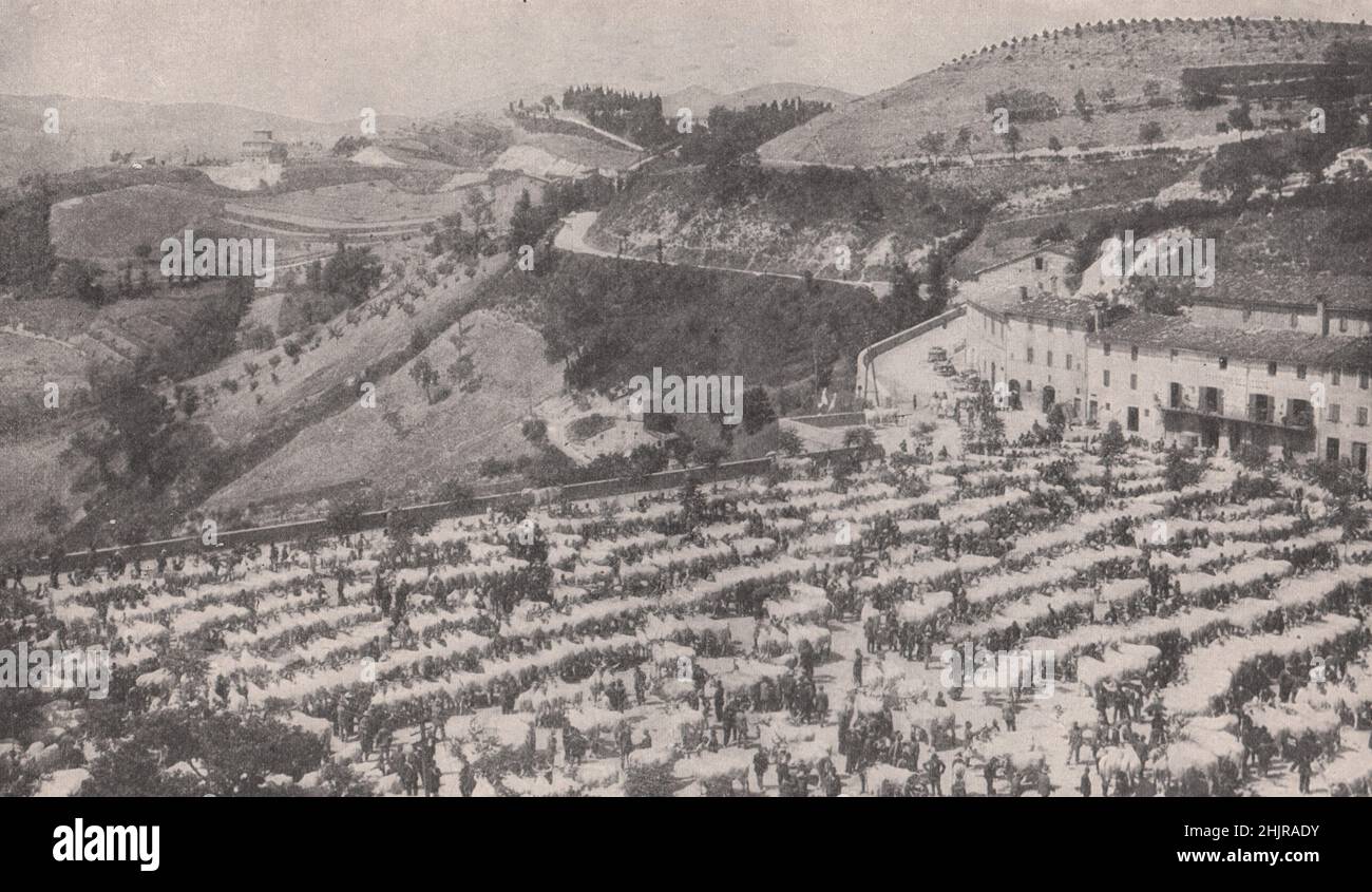 Viehschau und -Verkauf in urbino und der antiken Stadt am östlichen Rand des Apennins. Italien Süd (1923) Stockfoto