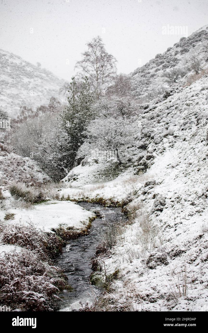Ashes Hollow in Winter Snow, Shropshire, England Stockfoto