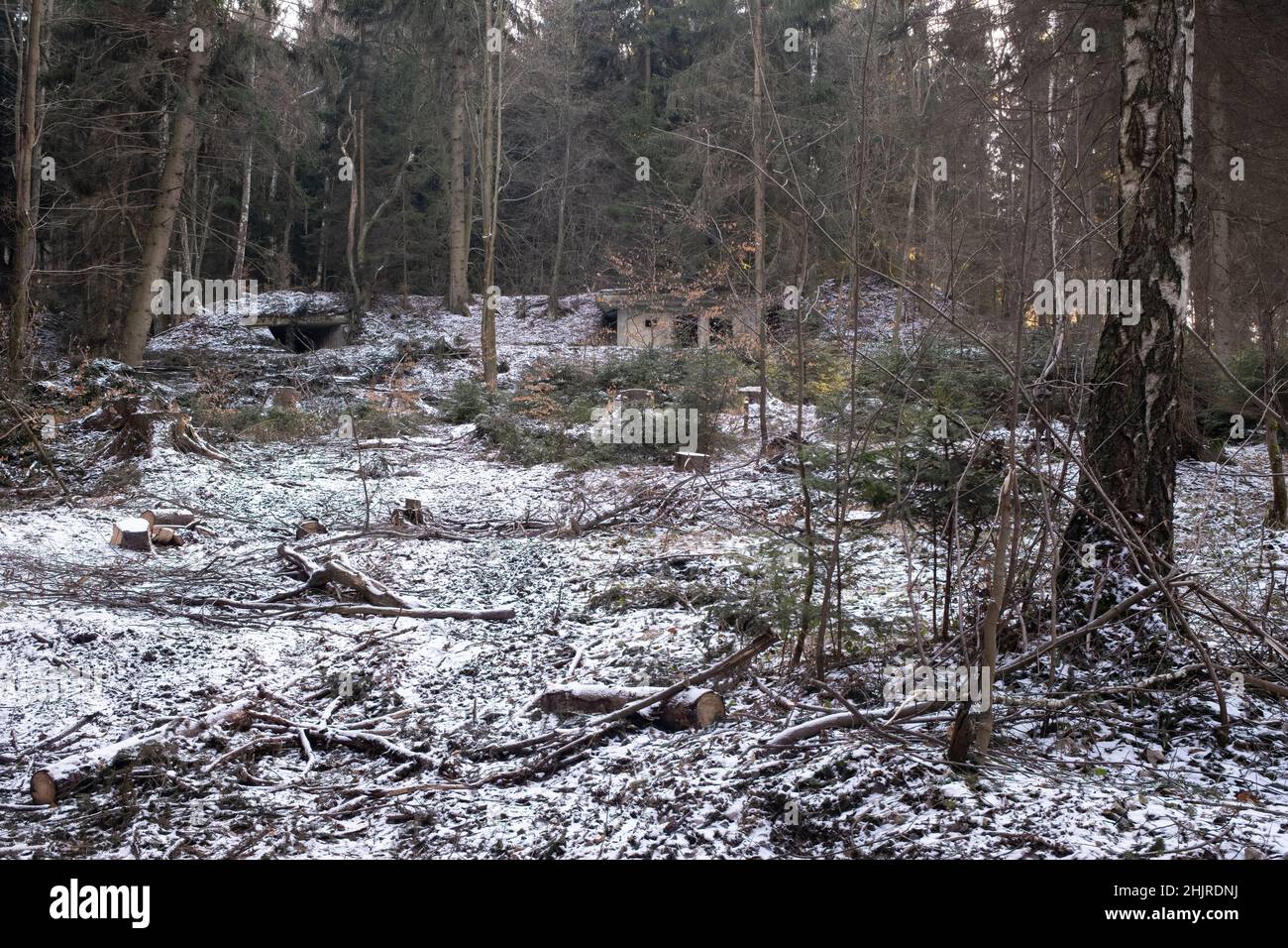 Ludwikowice Klodzkie, Polen - 11. Januar 2022. Molke. Projekt Riese. Ein Projekt, das geschaffen wurde, um wichtige deutsche Hauptquartiere und Fabriken zu errichten Stockfoto