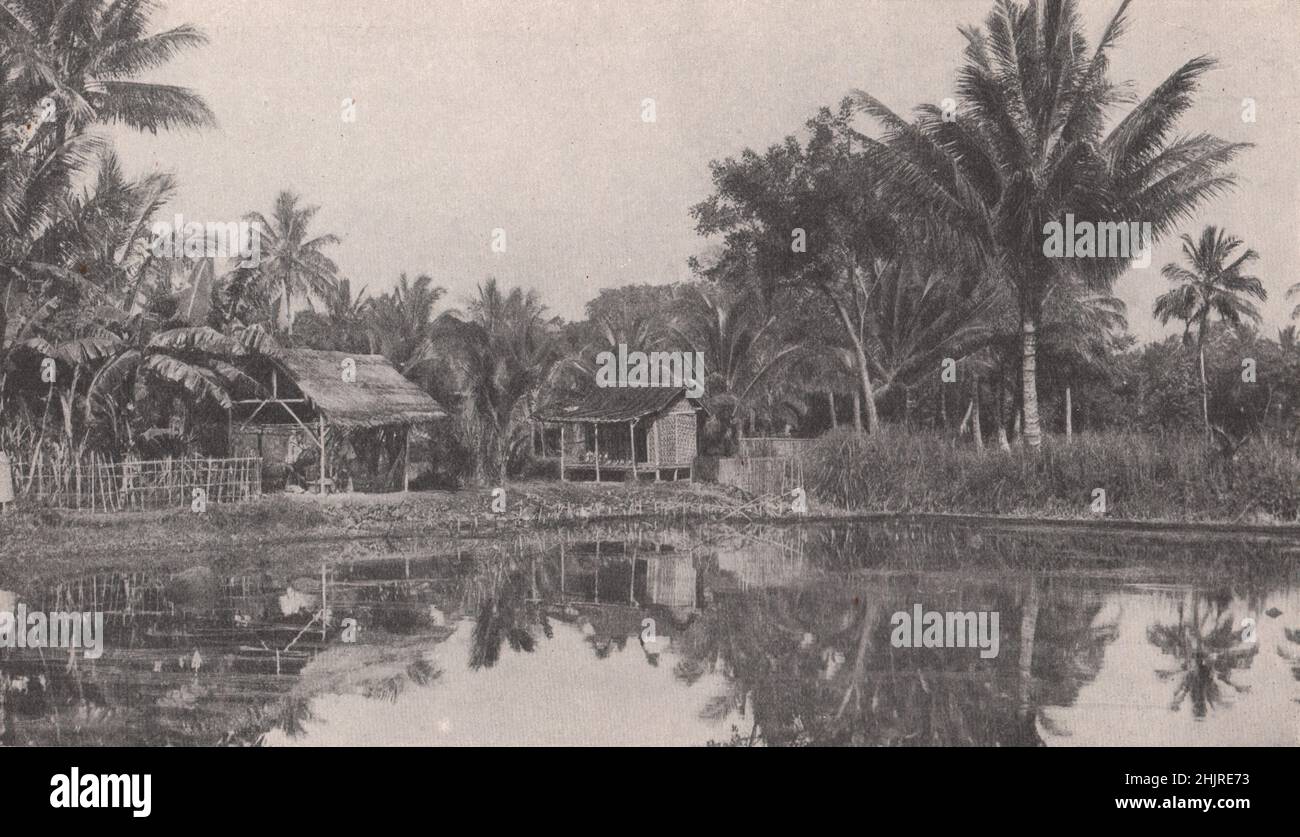 Aufruhr des Lebens auf einer reichen tropischen Insel der Niederländischen Ostindien. Indonesien. Malaiischer Archipel (1923) Stockfoto