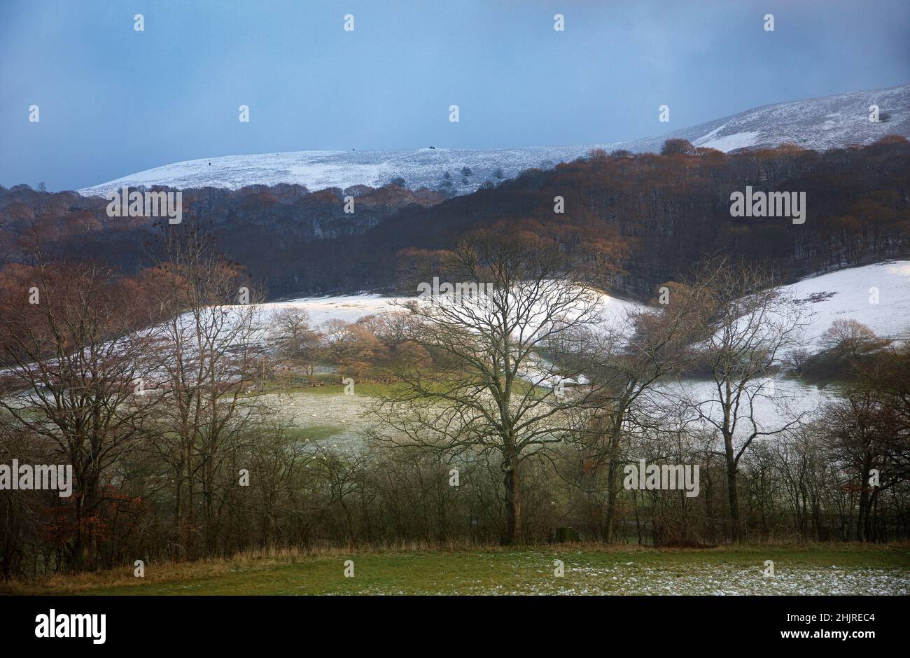 Ragleth Hill, Shropshire, England Stockfoto