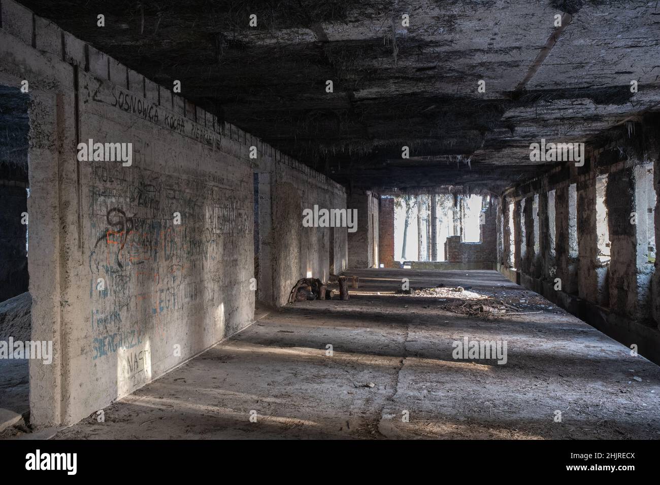 Komplexe osowka -Fotos und -Bildmaterial in hoher Auflösung – Alamy