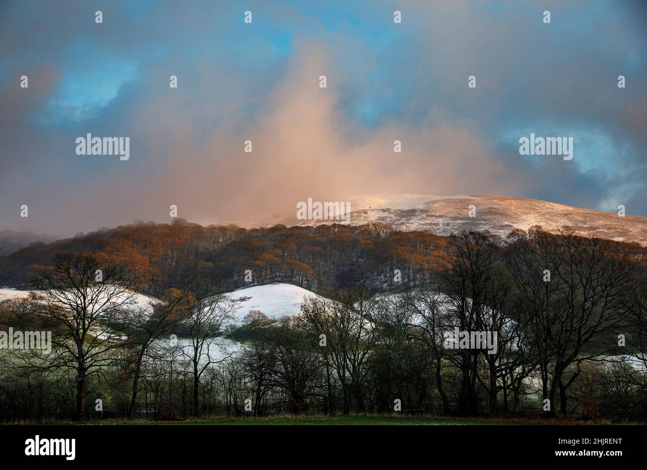 Ragleth Hill, Long Mynd, Shropshire Stockfoto