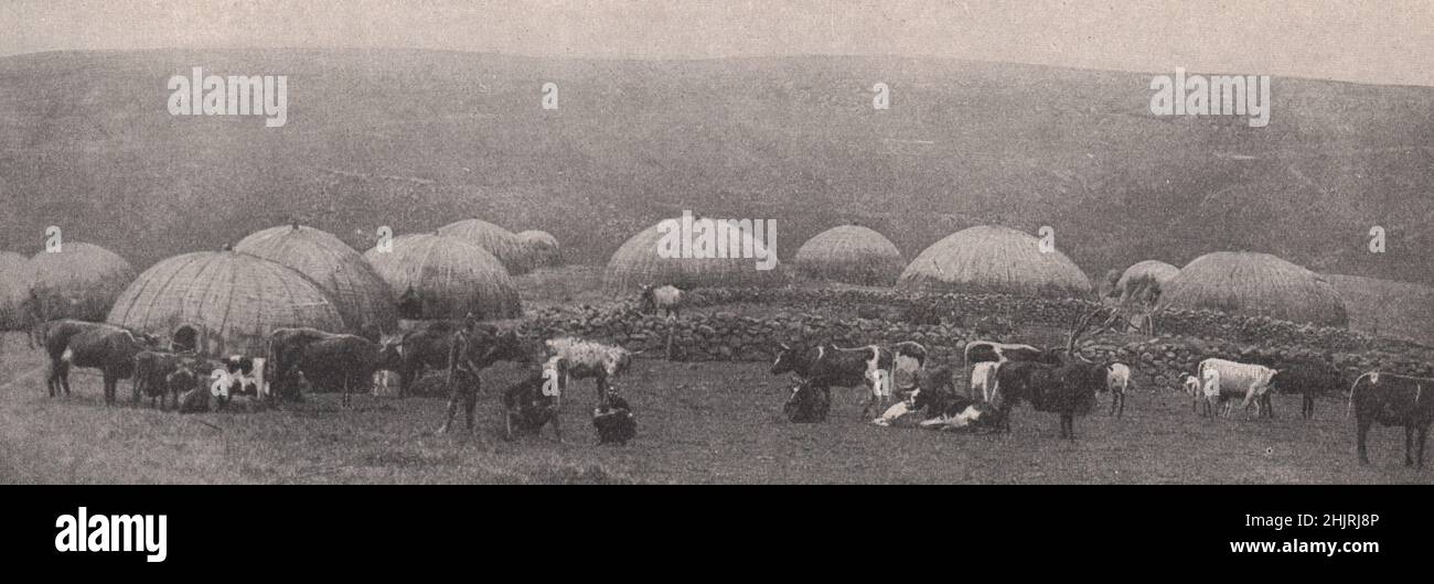 Zu Hause bei den Einheimischen von Zululand in der Hügel- und Hochplateauregion hinter den Küstenebenen. Südafrika. Natal (1923) Stockfoto