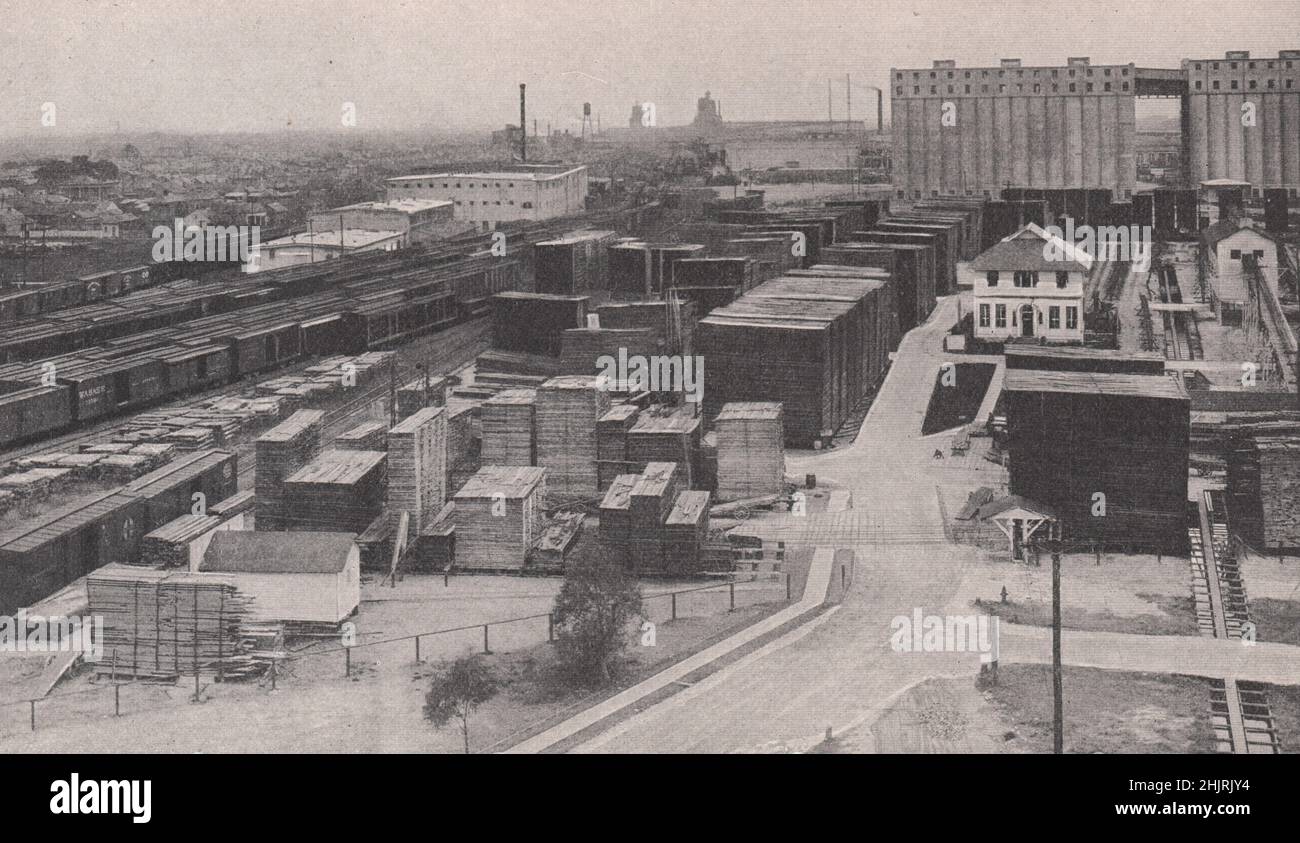 Holzhof in New Orleans, gestapelt mit Holz aus den Wäldern von Louisiana (1923) Stockfoto
