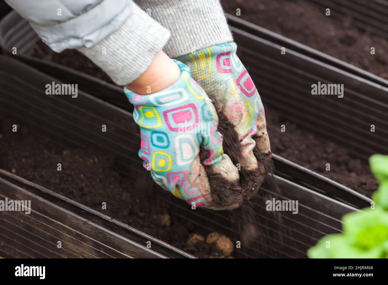 Gärtner Hände in bunten Handschuhen mit Erde, Nahaufnahme Stockfoto