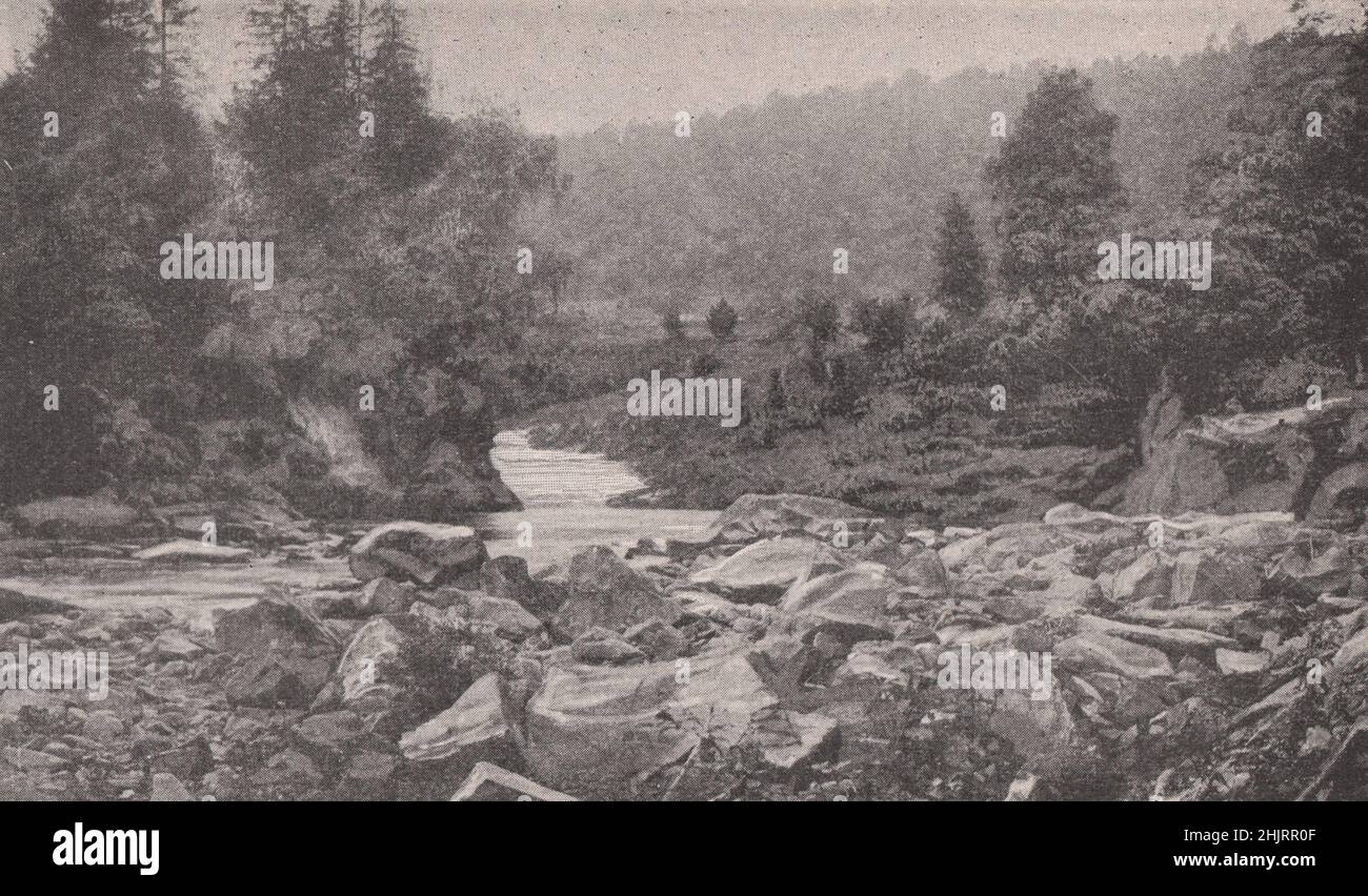 Jaremcze, ein schöner Ort in den bewaldeten Karpaten. Ukraine (1923) Stockfoto