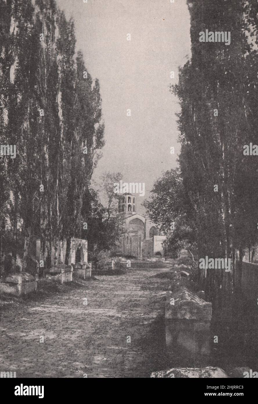 Von Pappeln gesäumte Grabenstraße in Les Aliscamps bei Arles. Bouches-du-Rhône. Provence (1923) Stockfoto
