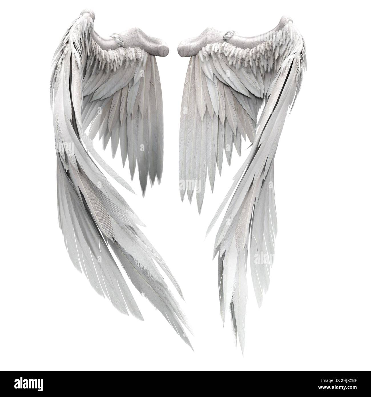 Paar isolierte Engelsflügel mit 3D Federn auf weißem Hintergrund, 3D Abbildung, 3D Rendering Stockfoto