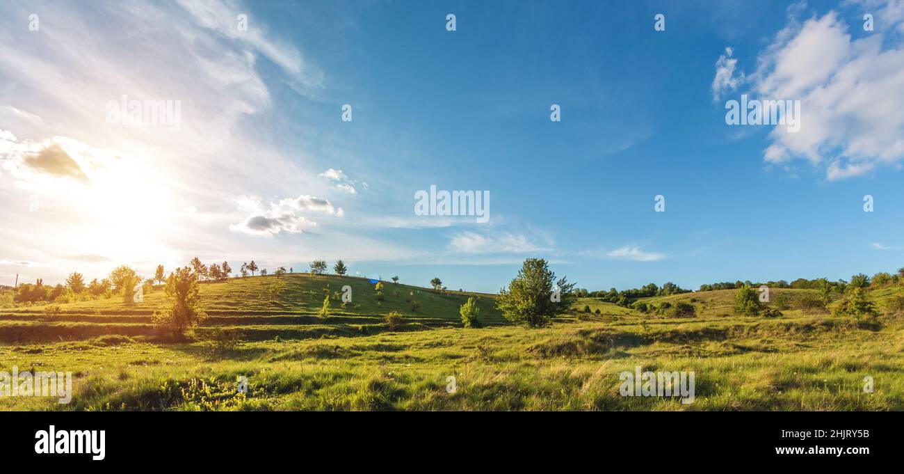 Grüne Wiese mit Hügeln und Bäumen in der Ukraine Stockfoto