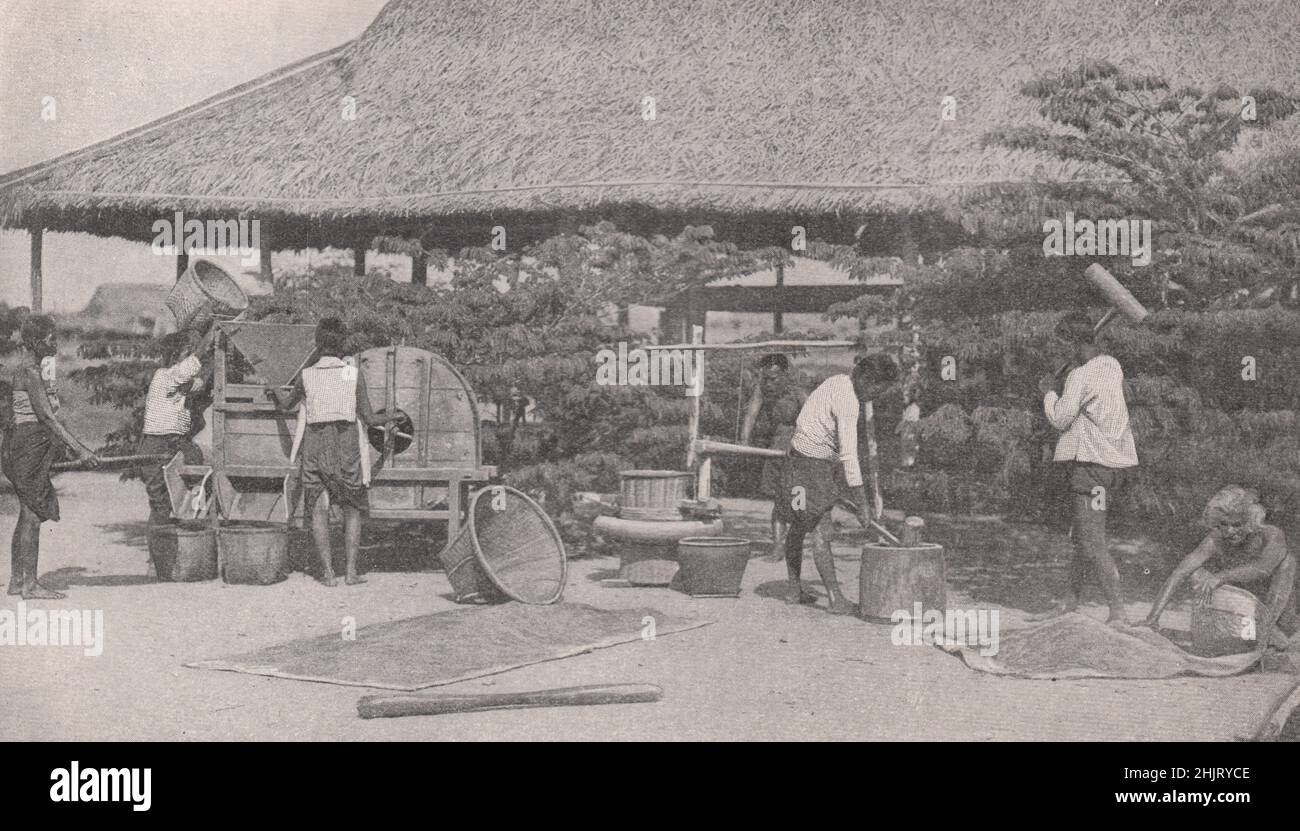 Siam: Reis für den Export in einer der alten handbetriebenen Mühlen vorbereiten. Thailand (1923) Stockfoto