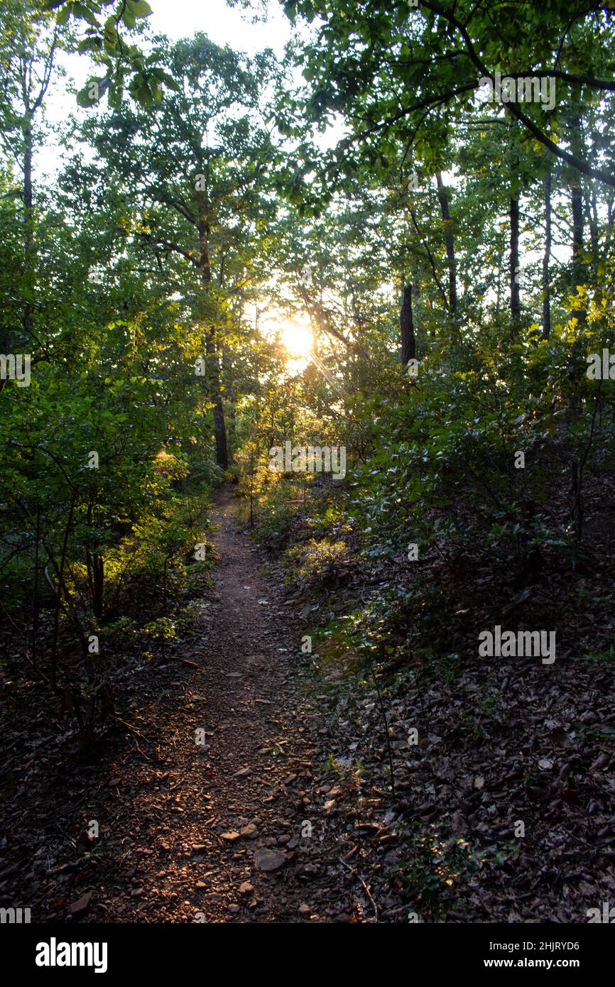 Wandern durch Trail Stockfoto