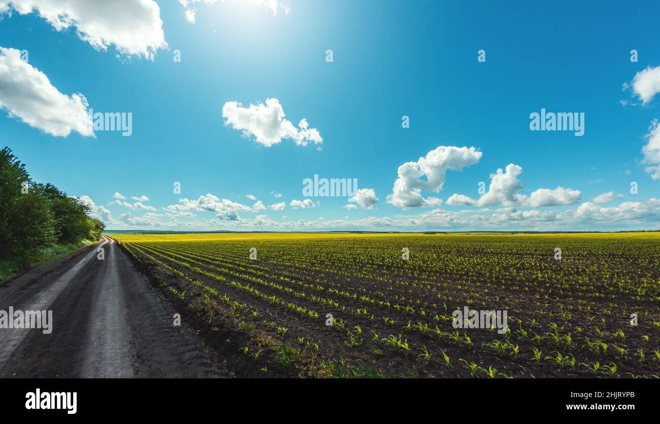 Fruchtbare landwirtschaftliche Felder für die Aussaat und den Anbau von Kulturpflanzen Stockfoto