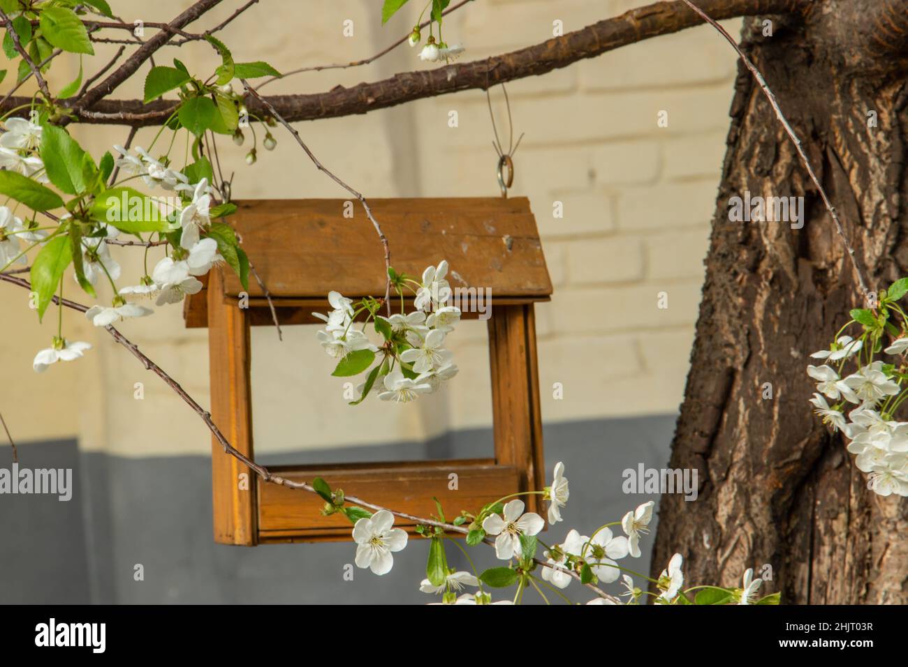 Vogelfutterhäuschen auf einem Frühlingsbaum, Vogelhaus handgefertigt, Vogelpflege Stockfoto