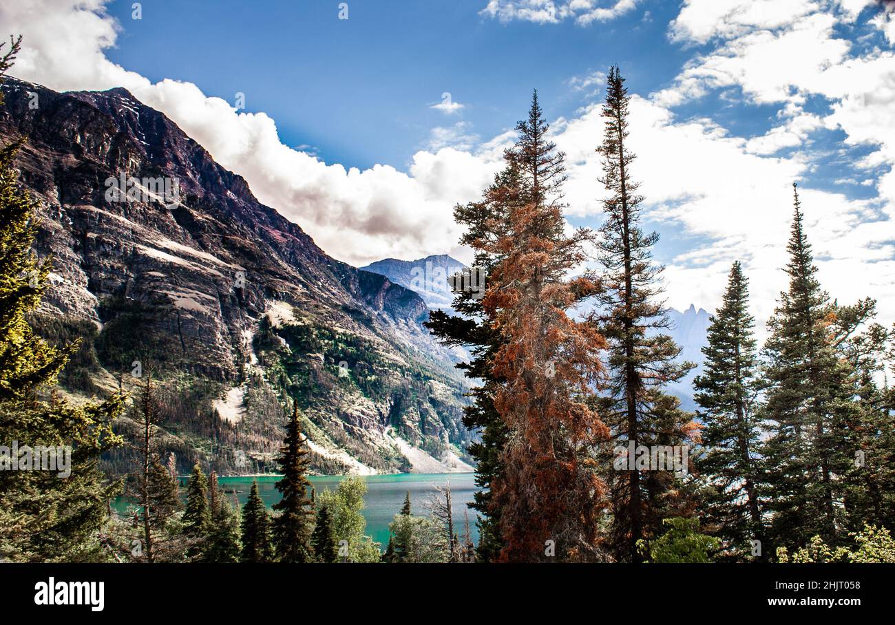 Glacier Nationalpark Stockfoto