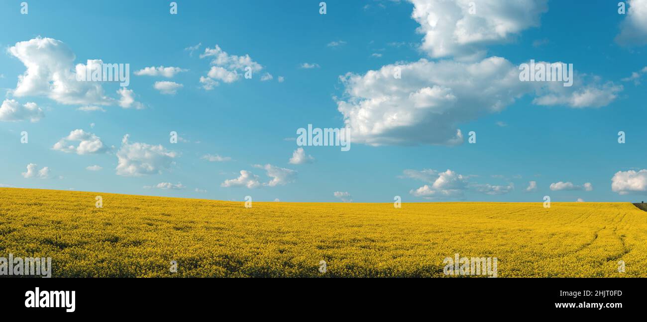 Fruchtbare landwirtschaftliche Felder für die Aussaat und den Anbau von Kulturpflanzen Stockfoto