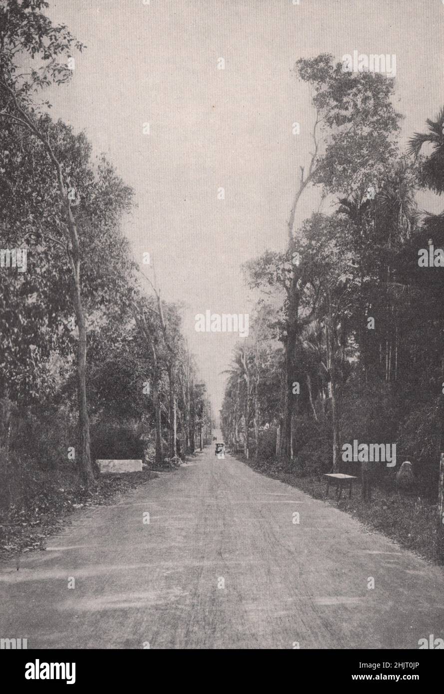 Changi Road: Feinmotorlauf auf der Insel Singapur (1923) Stockfoto