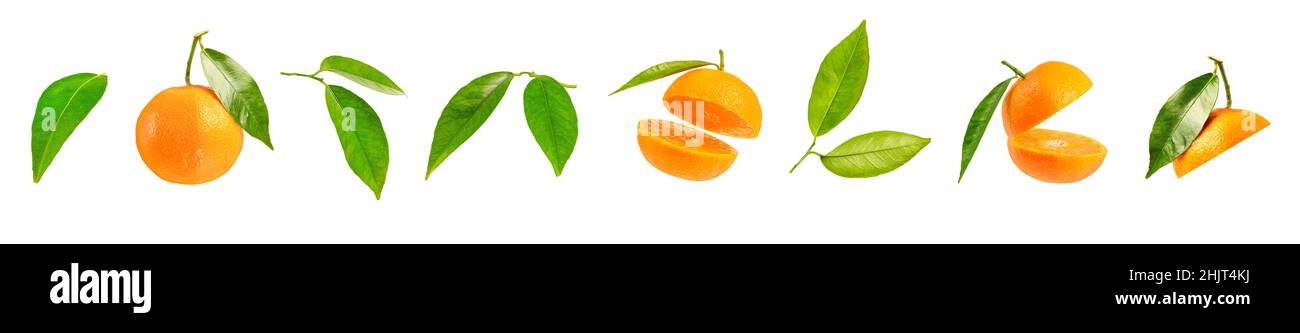 Großer Satz von tangerinen Teilen, verschiedene tangerine Segmente isoliert auf weißem Hintergrund. Blätter und Stücke von Mandarine Stockfoto