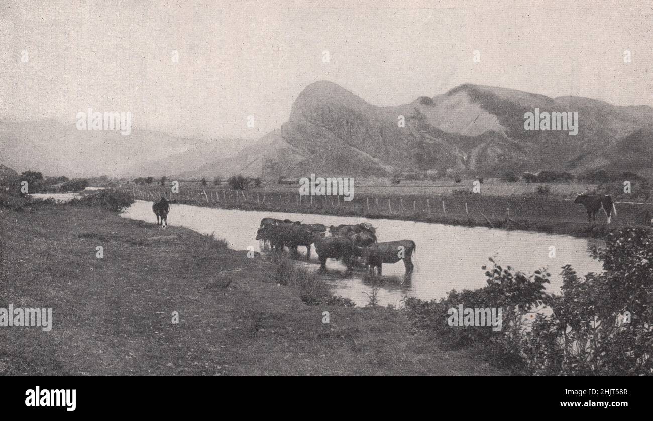 Im Valley of the Dysynni bei Towyn, das den auffälligen Vogelfelsen im Hintergrund zeigt. Wales (1923) Stockfoto
