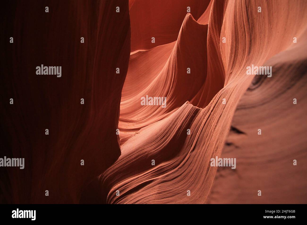 Die roten Felsen-Stalagmiten Formen sich im wilden Antelope Canyon in Arizona Stockfoto