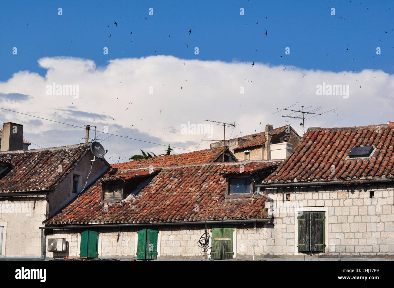 Die Dächer alter Häuser im historischen Teil von Split, Kroatien, mit Schwalben, die über den Boden fliegen Stockfoto