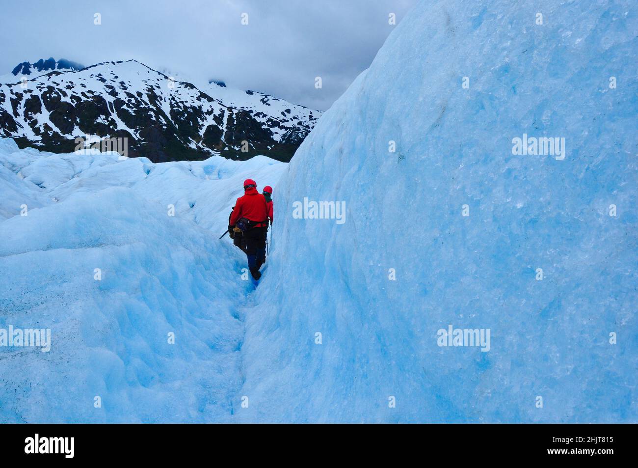 Oberfläche des Mendenhall Gletschers im Juneau Eisfeld, Alaska, USA Stockfoto