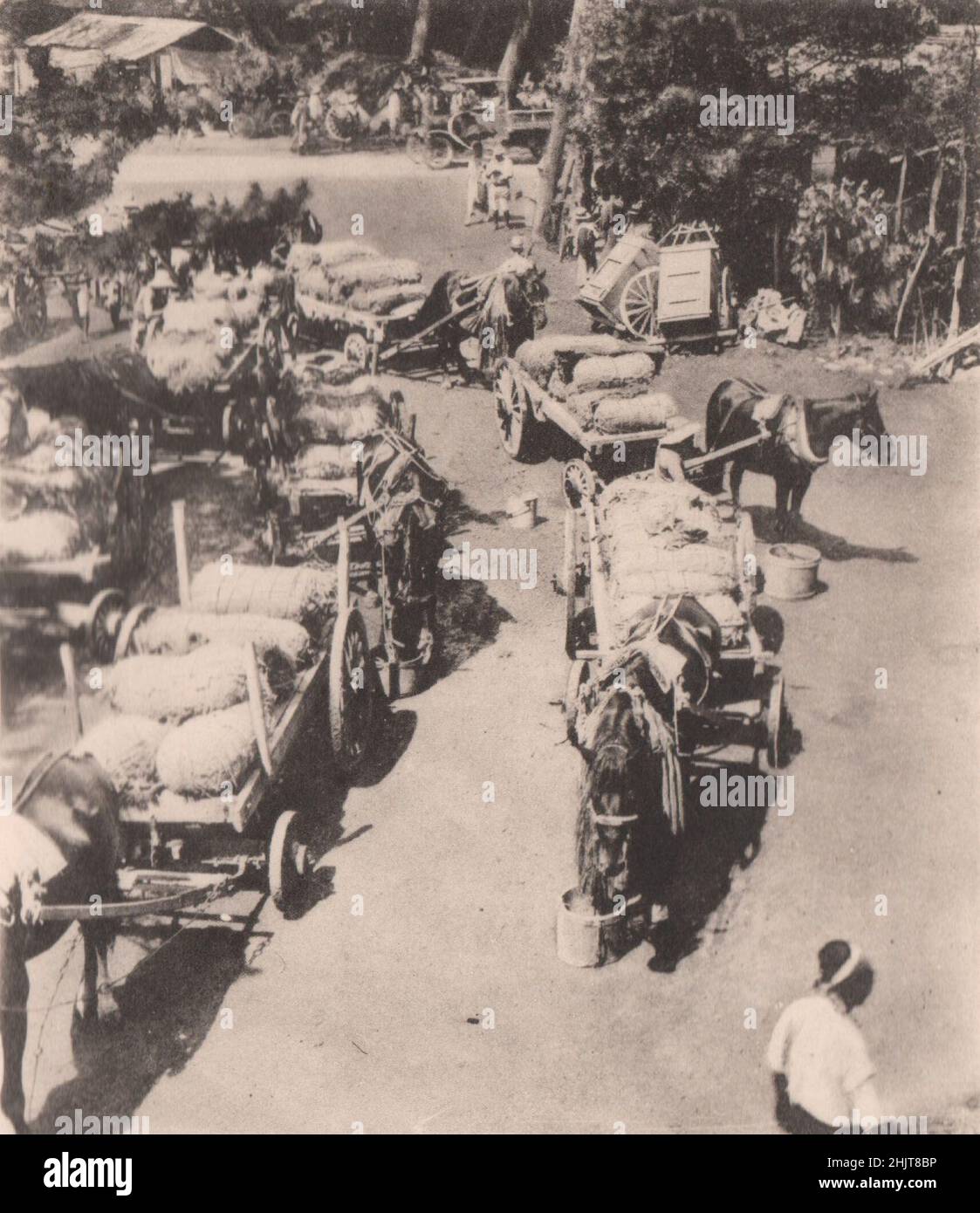 Erdbeben in Japan 1923: Prozession von Karren, die die Versorgung von Shibaura (Tokio) Tag und Nacht in die verwüstete Zone transportieren Stockfoto
