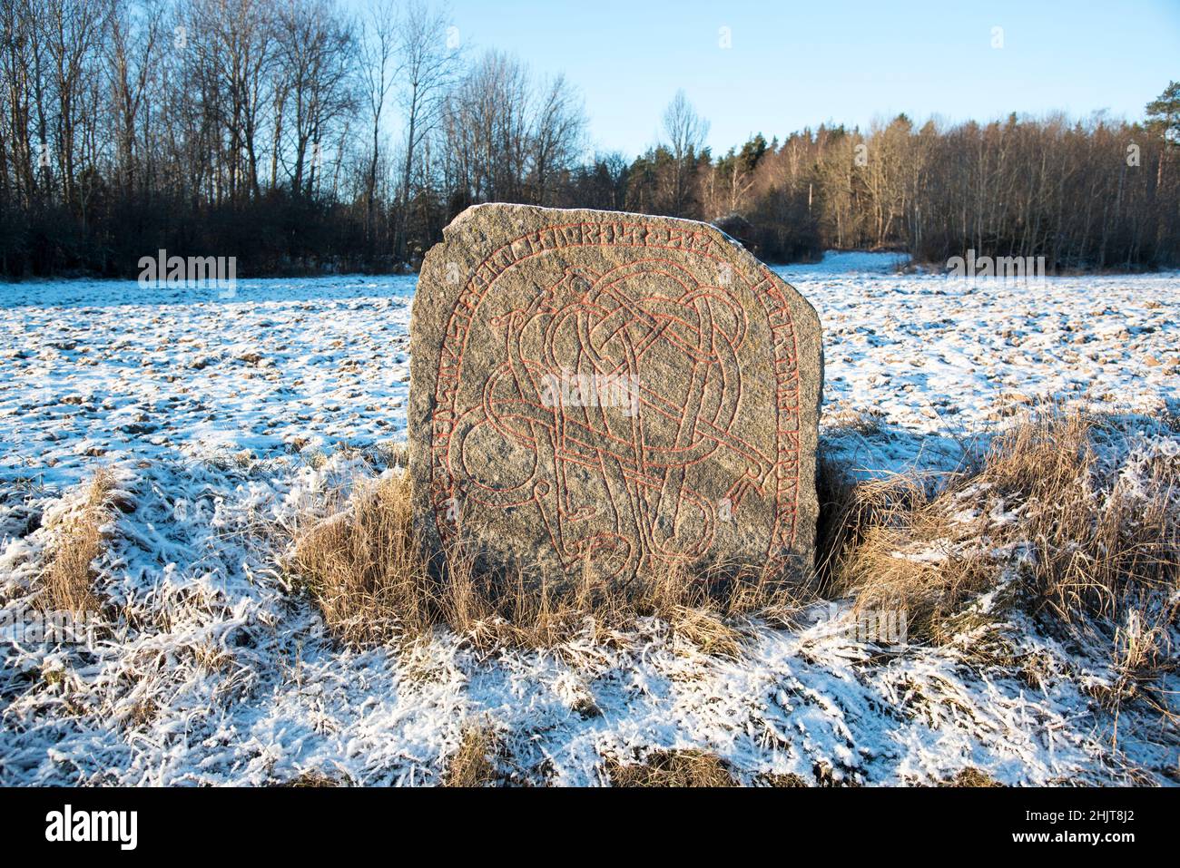 Runenstein in Schweden. Stockfoto