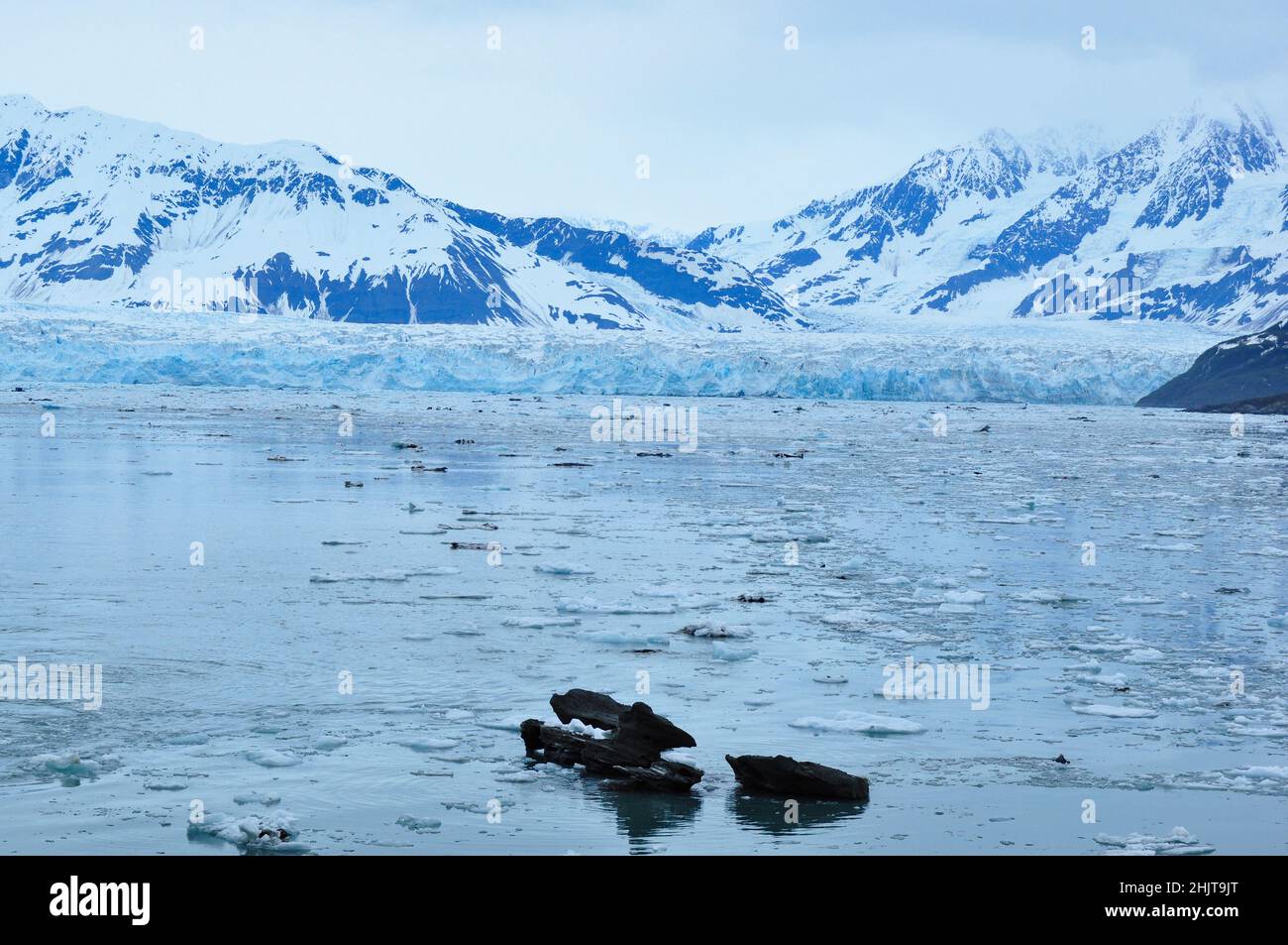 Blick auf den Mendenhall Gletscher im Juneau Icefield, Alaska Stockfoto