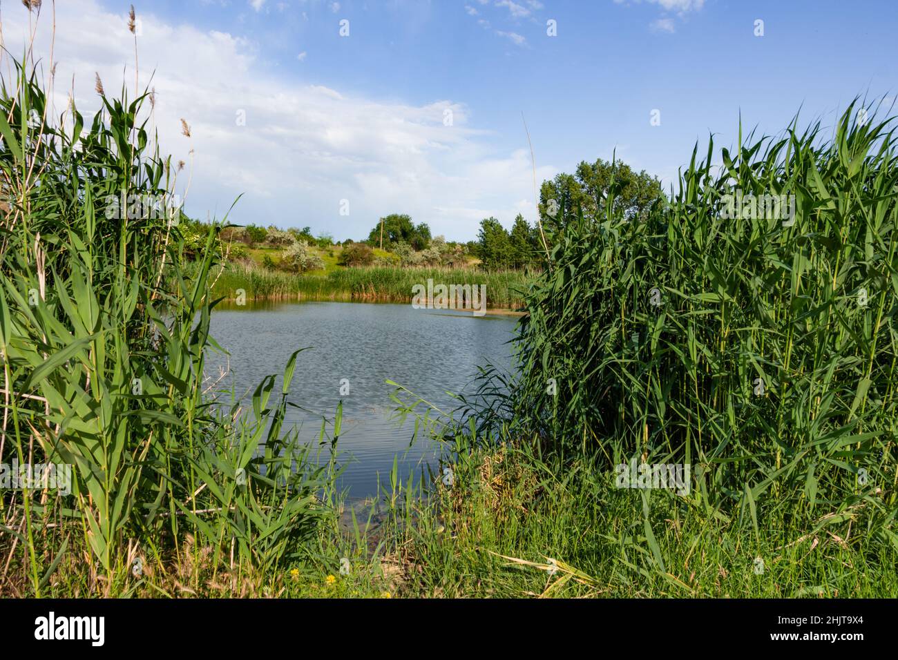 Ländliche Landschaft mit einem kleinen See, ukrainisches Dorf Stockfoto